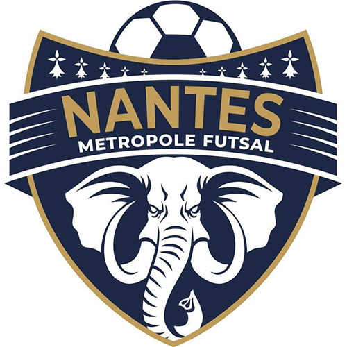http://nantesmetropolefutsal.fr/